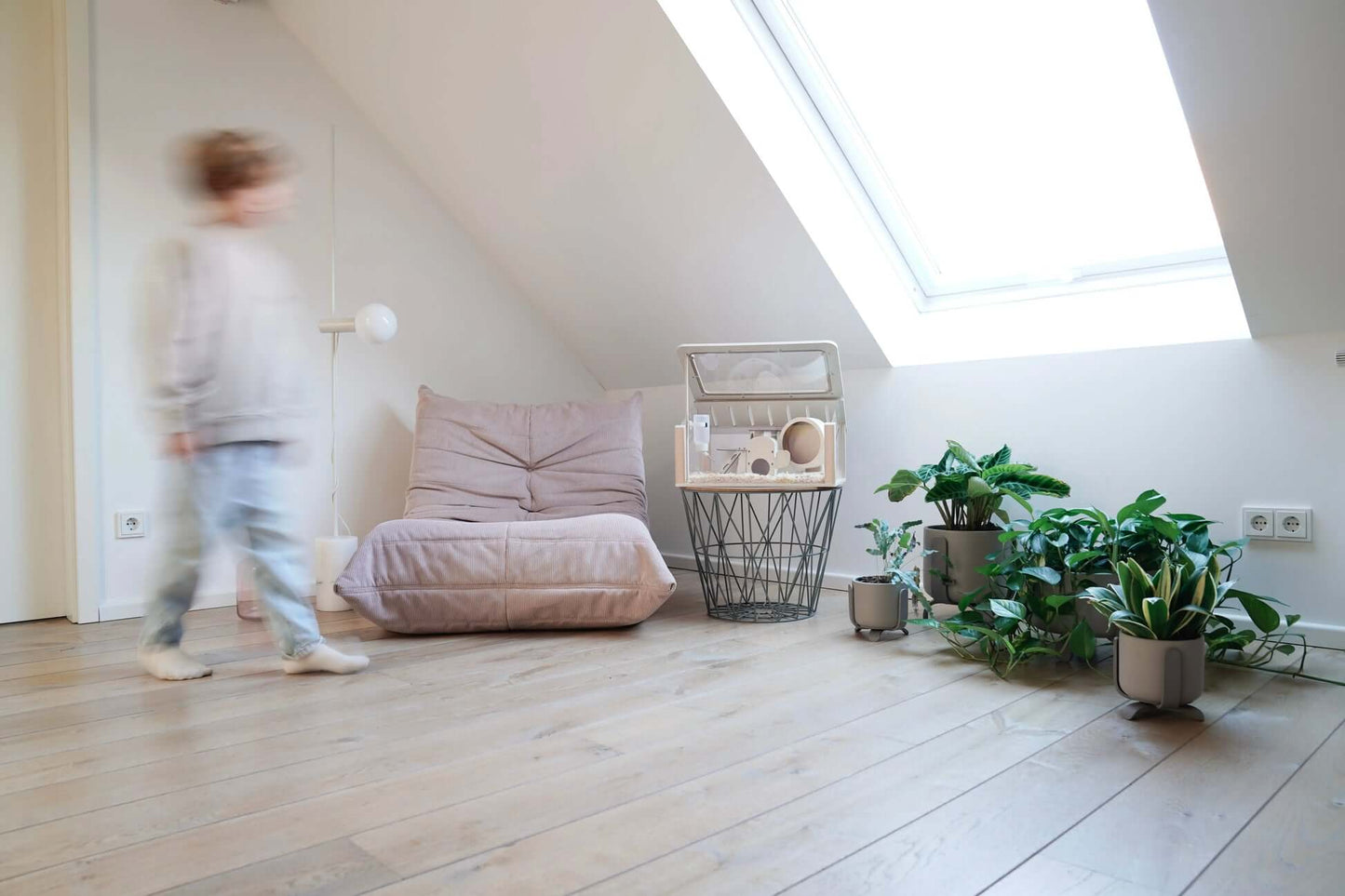 ROODZ Designer-Hamsterkäfig-Set – Moderner Käfig aus Holz und Acrylglas, inklusive umfangreichem Spiel- und Komfortzubehör - Roodz